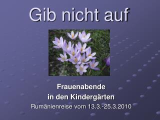 Gib nicht auf