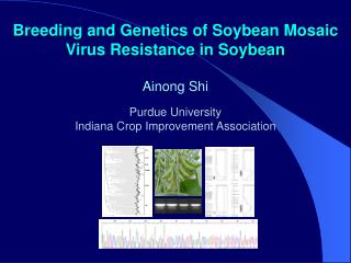 Breeding and Genetics of Soybean Mosaic Virus Resistance in Soybean