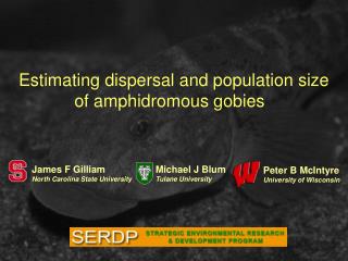 Estimating dispersal and population size of amphidromous gobies