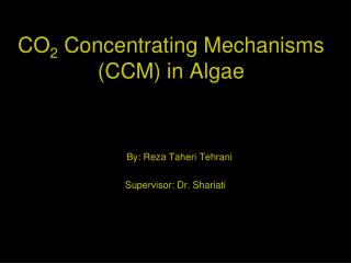 CO 2 Concentrating Mechanisms (CCM) in Algae