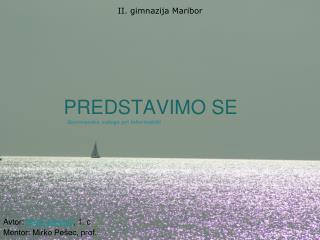 PREDSTAVIMO SE