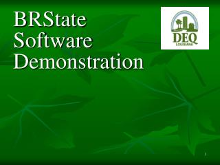 BRState Software Demonstration