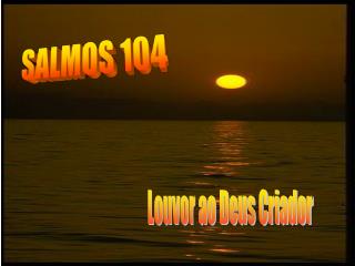 SALMOS 104