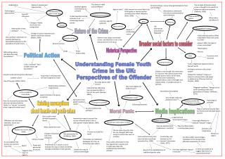 Understanding Female Youth Crime in the UK: Perspectives of the Offender