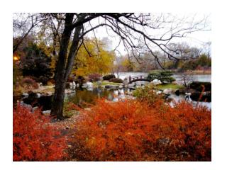 Kenilworth Garden Club Visit to the Osaka Garden