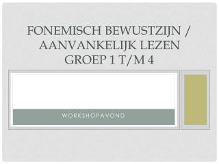 Fonemisch bewustzijn / aanvankelijk lezen Groep 1 t/m 4