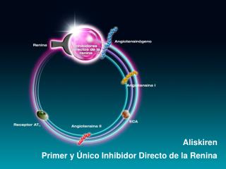 Aliskiren Primer y Único Inhibidor Directo de la Renina