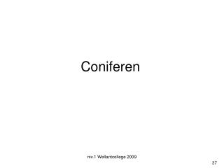 Coniferen