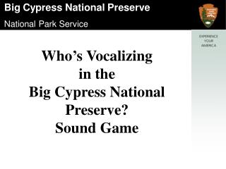 Who’s Vocalizing in the Big Cypress National Preserve? Sound Game