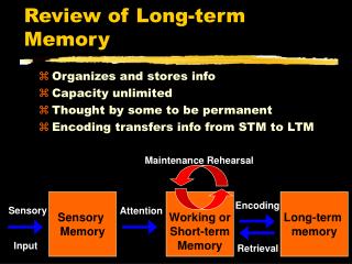 Review of Long-term Memory