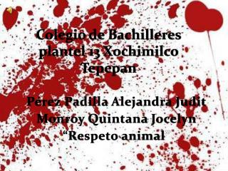 Pérez Padilla Alejandra Judit Monroy Quintana Jocelyn “Respeto animal ”
