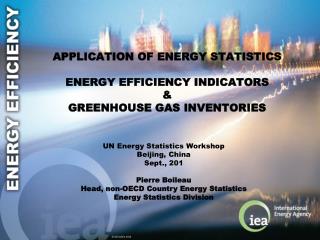 APPlication of energy statistics energy efficiency indicators &amp; Greenhouse gas inventories