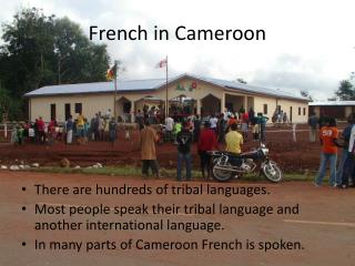 French in Cameroon