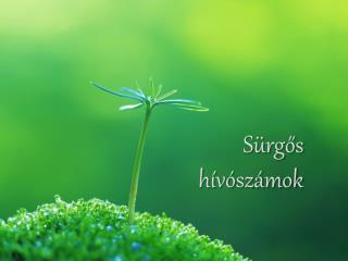 Sürgős hívószámok