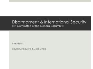 Disarmament &amp; International Security (1st Committee of the General Assambly )