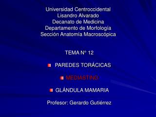 TEMA N° 12 PAREDES TORÁCICAS MEDIASTINO GLÁNDULA MAMARIA Profesor: Gerardo Gutiérrez