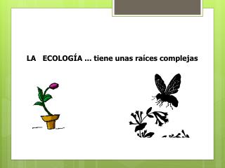 LA ECOLOGÍA ... tiene unas raíces complejas