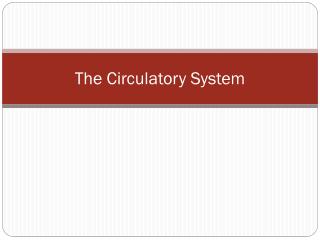 The Circulatory System