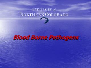 Blood Borne Pathogens
