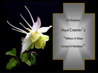 Orchestra : Floyd Cramer ’ s “ When A Man Loves A Women ”