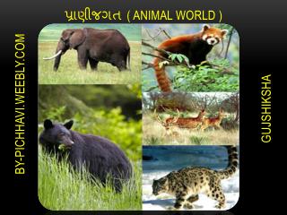 પ્રાણીજગત ( ANIMAL WORLD )
