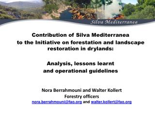 Contribution of Silva Mediterranean