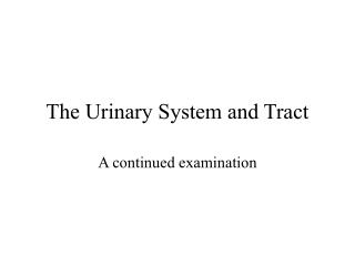 The Urinary System and Tract