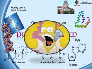Organic Biomolecules