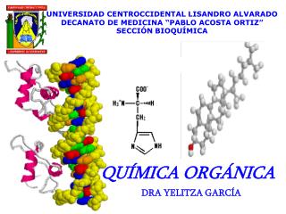 QUÍMICA ORGÁNICA