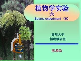 植物学实验 六 Botany expertment （ 6 ）