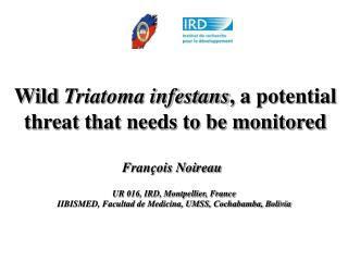 Wild Triatoma infestans , a potential threat that needs to be monitored