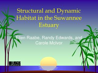 Structural and Dynamic Habitat in the Suwannee Estuary