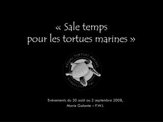 « Sale temps pour les tortues marines »