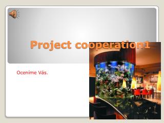 Project cooperation1