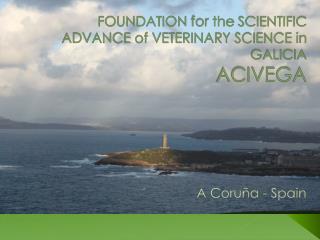 FOUNDATION for the SCIENTIFIC ADVANCE of VETERINARY SCIENCE in GALICIA ACIVEGA