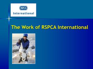 The Work of RSPCA International