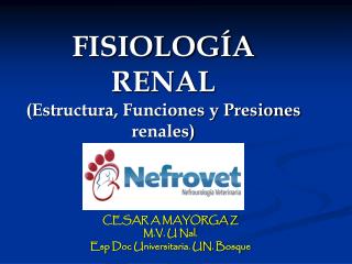 FISIOLOGÍA RENAL (Estructura, Funciones y Presiones renales)