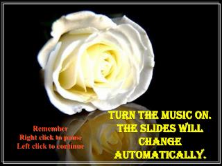 Turn the Music on. The slides will change automatically.
