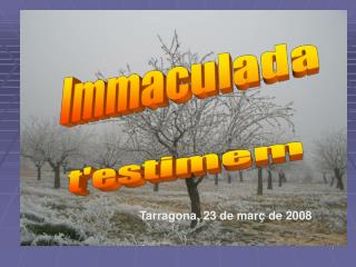 Immaculada