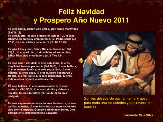 Feliz Navidad y Prospero Año Nuevo 2011