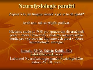 Neurofyziologie paměti