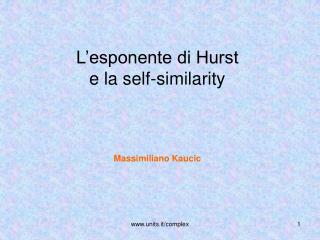 L’esponente di Hurst e la self-similarity Massimiliano Kaucic