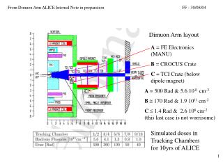 Dimuon Arm layout