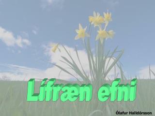 Lífræn efni