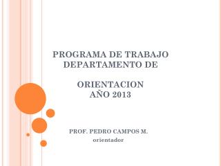 PROGRAMA DE TRABAJO DEPARTAMENTO DE ORIENTACION AÑO 2013