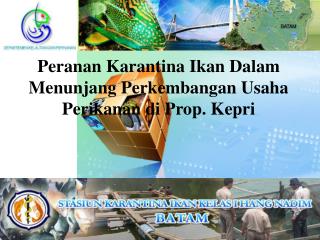 Peranan Karantina Ikan Dalam Menunjang Perkembangan Usaha Perikanan di Prop. Kepri