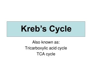 Also known as: Tricarboxylic acid cycle TCA cycle