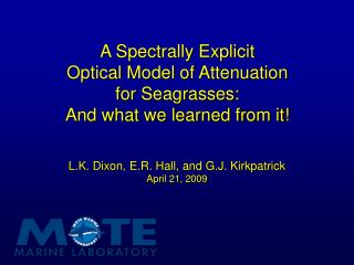 A Spectrally Explicit Optical Model of Attenuation for Seagrasses: And what we learned from it!