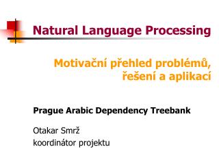 Natural Language Processing