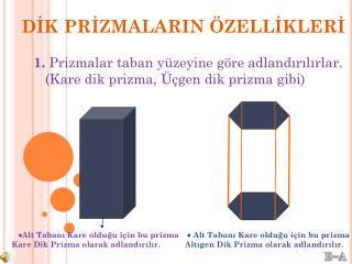 DİK PRİZMALARIN ÖZELLİKLERİ